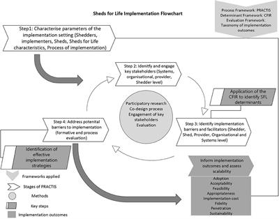 Strategies for effective implementation and scale-up of a multi-level co-designed men's health initiative “Sheds for Life” in Irish Men's Sheds